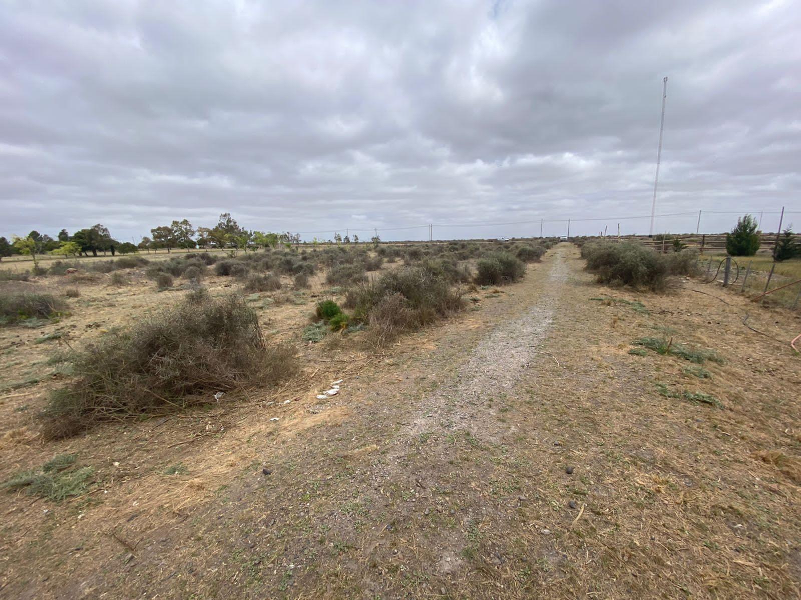 SE VENDE LOTE CAMINO A BALNEARIO EL CONDOR — foto 2
