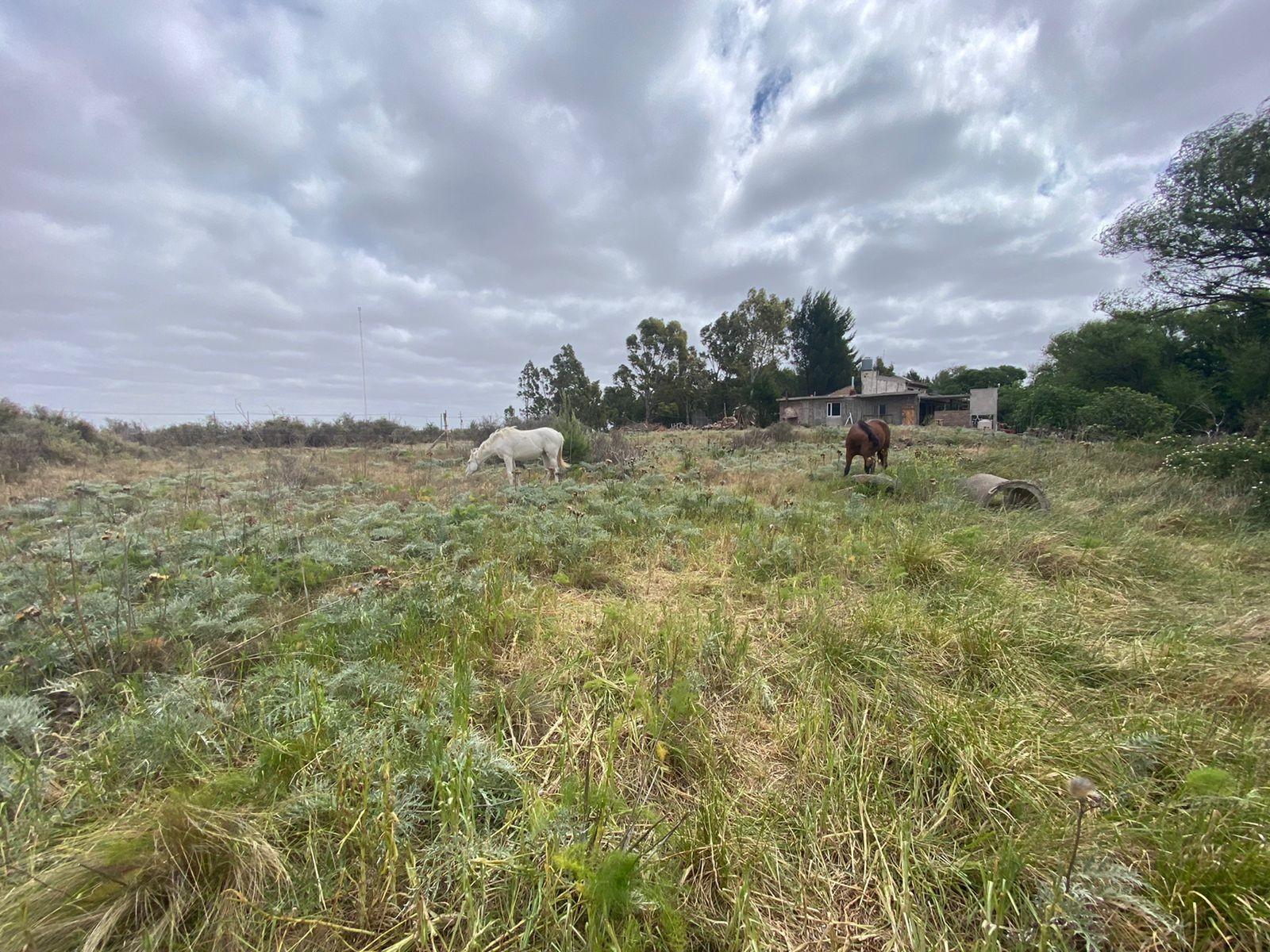 SE VENDE LOTE CAMINO A BALNEARIO EL CONDOR — foto 4