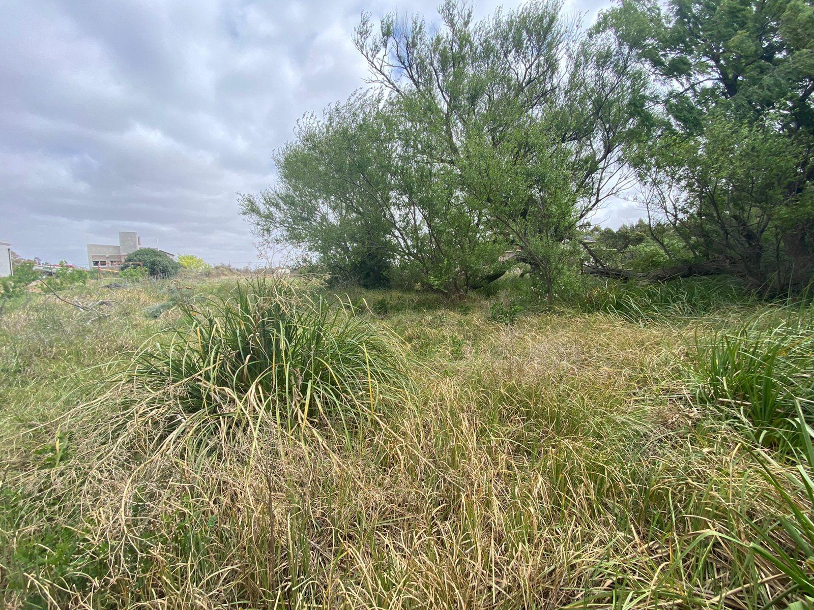 SE VENDE LOTE CAMINO A BALNEARIO EL CONDOR — foto 5