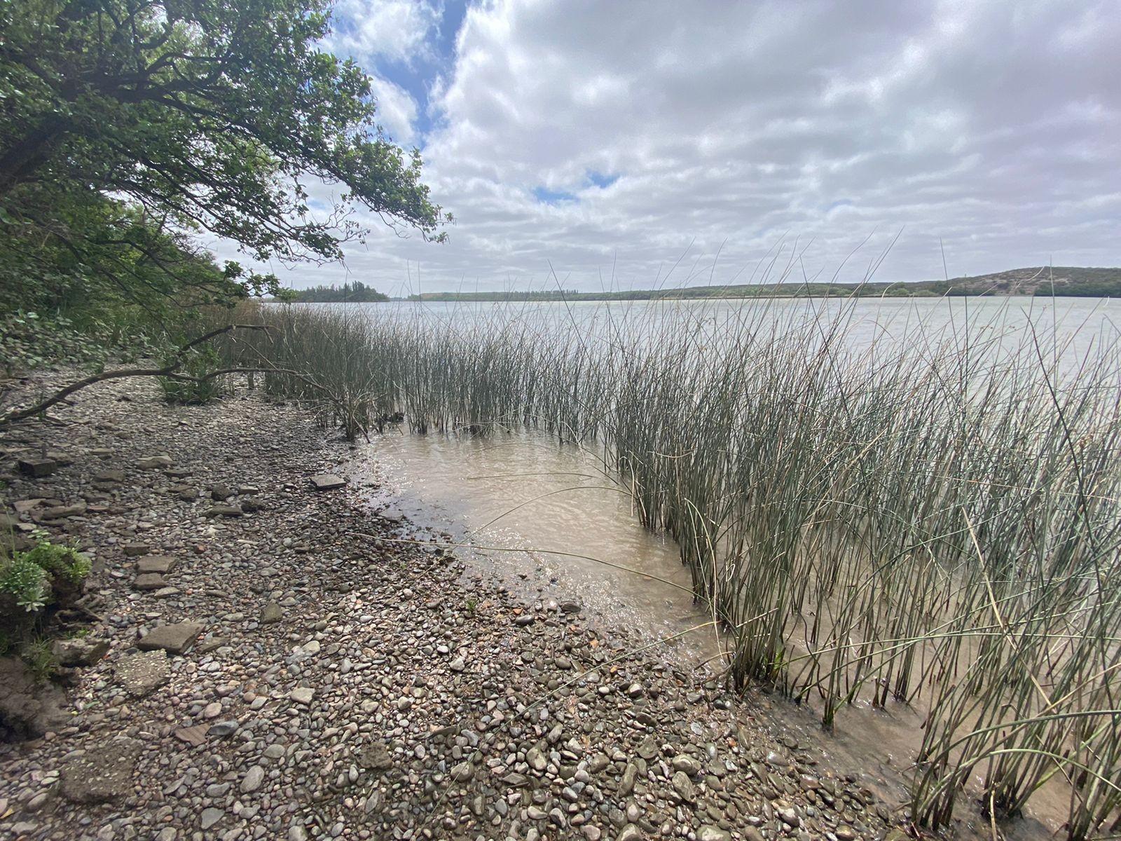 SE VENDE LOTE CAMINO A BALNEARIO EL CONDOR — foto 7