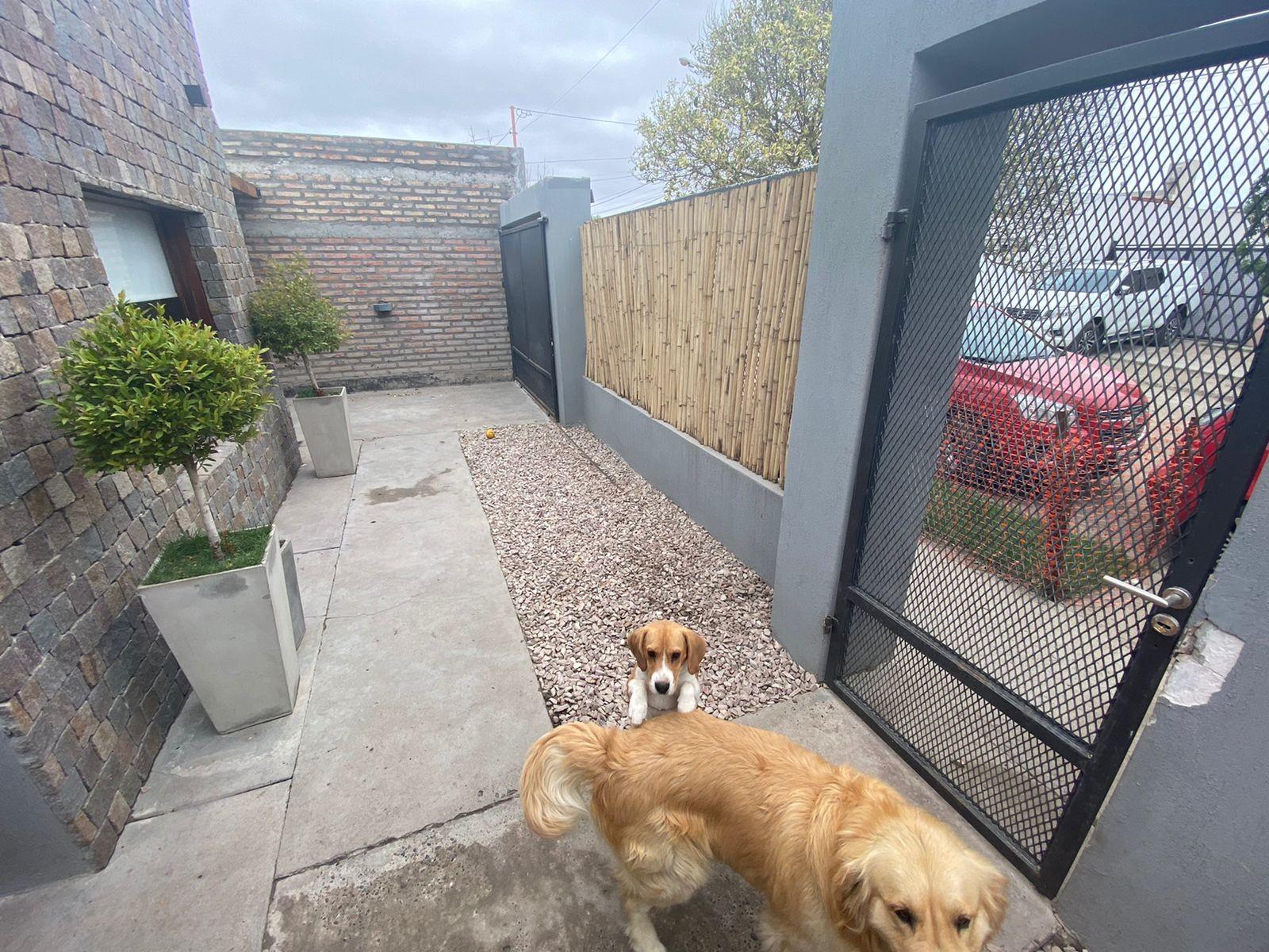 SE VENDE CASA Bº LOS FRESNOS – VIEDMA — foto 10