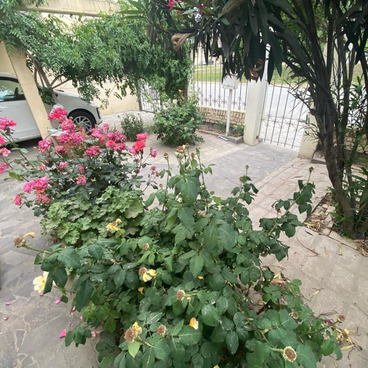 SE VENDE HERMOSA CASA Bº LAS FLORES VIEDMA — foto 2