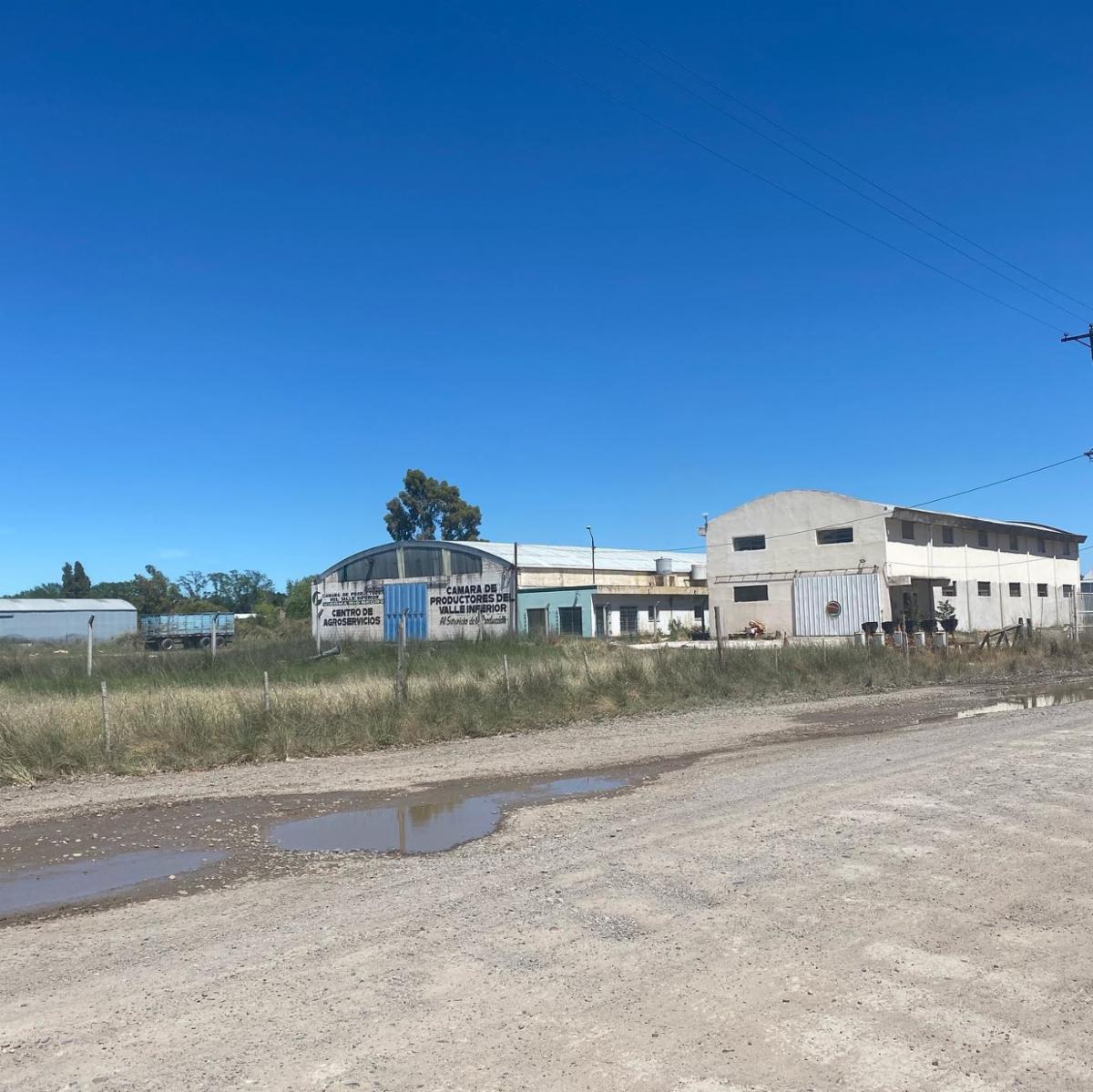 SE VENDEN LOTES EN EL JUNCAL – VIEDMA — foto 2