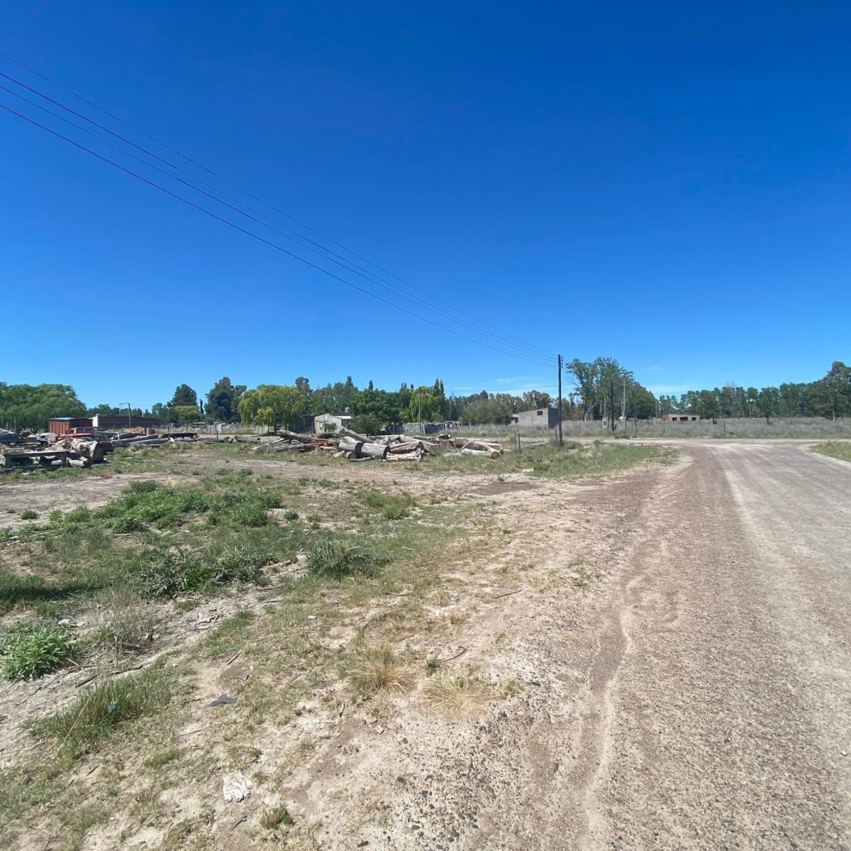 SE VENDEN LOTES EN EL JUNCAL – VIEDMA — foto 3