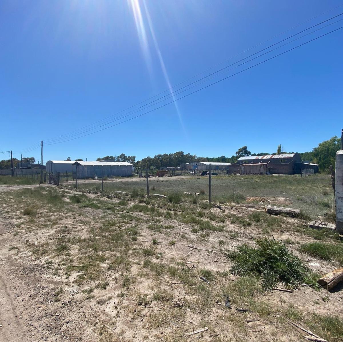 SE VENDEN LOTES EN EL JUNCAL – VIEDMA — foto 4