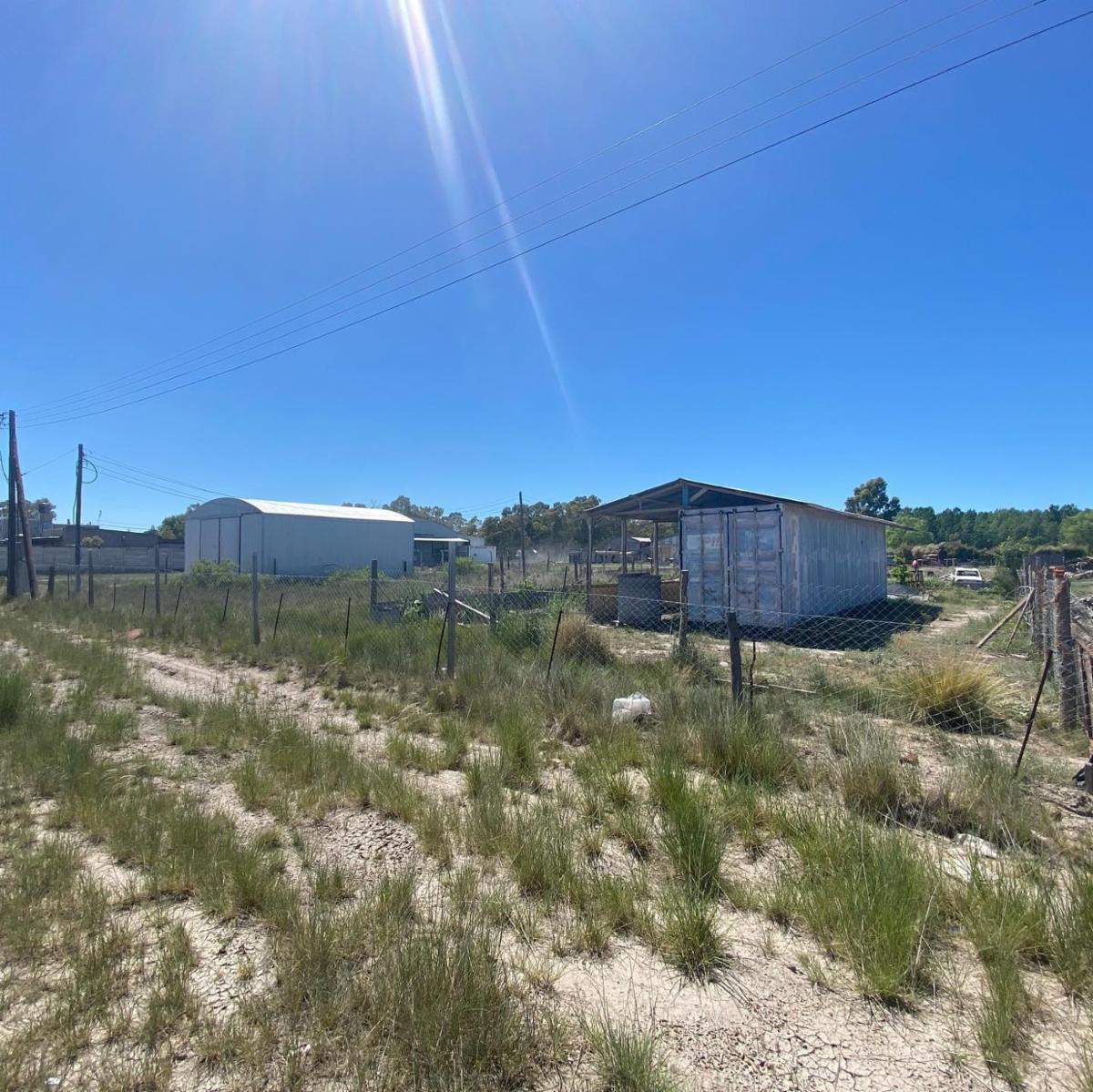 SE VENDEN LOTES EN EL JUNCAL – VIEDMA — foto 5