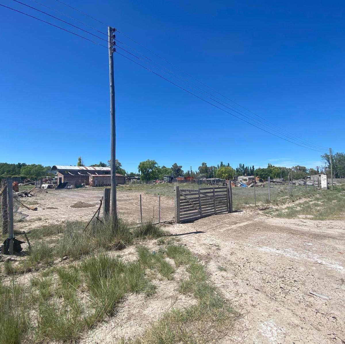 SE VENDEN LOTES EN EL JUNCAL – VIEDMA — foto 6