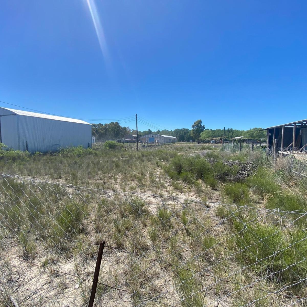SE VENDEN LOTES EN EL JUNCAL – VIEDMA — foto 7