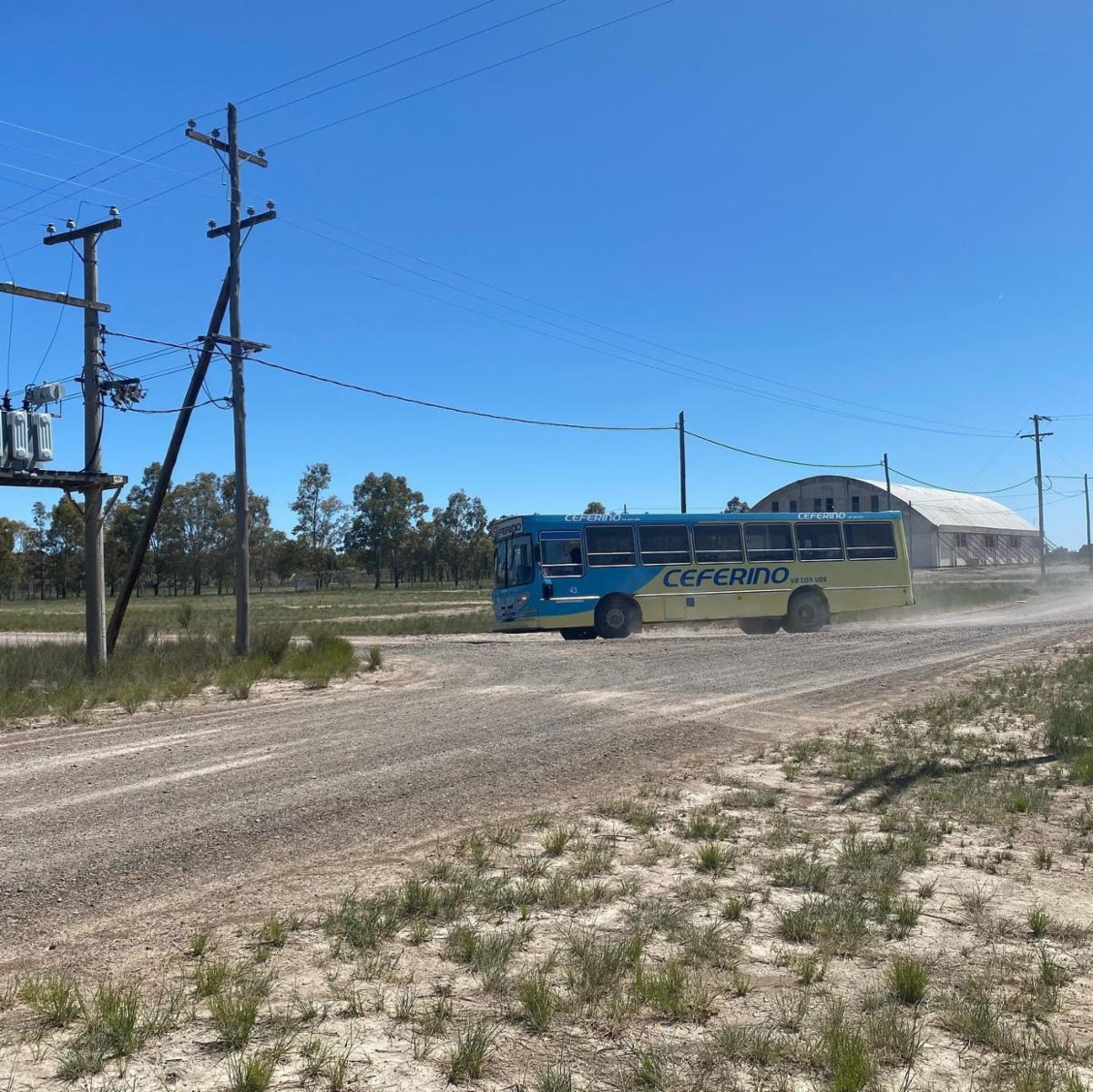SE VENDEN LOTES EN EL JUNCAL – VIEDMA — foto 9