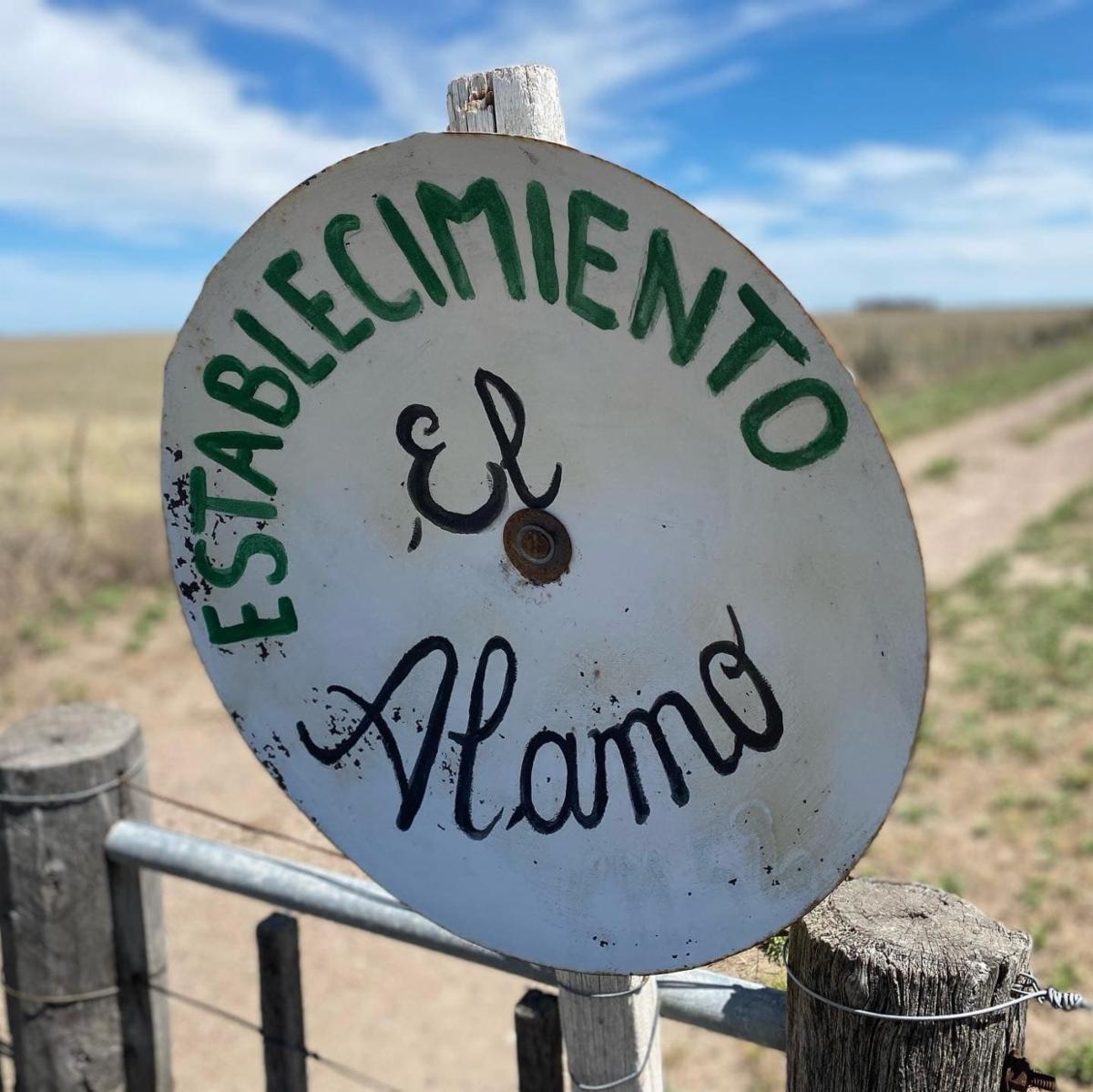 SE VENDE CAMPO 1250has - PATAGONES - 2