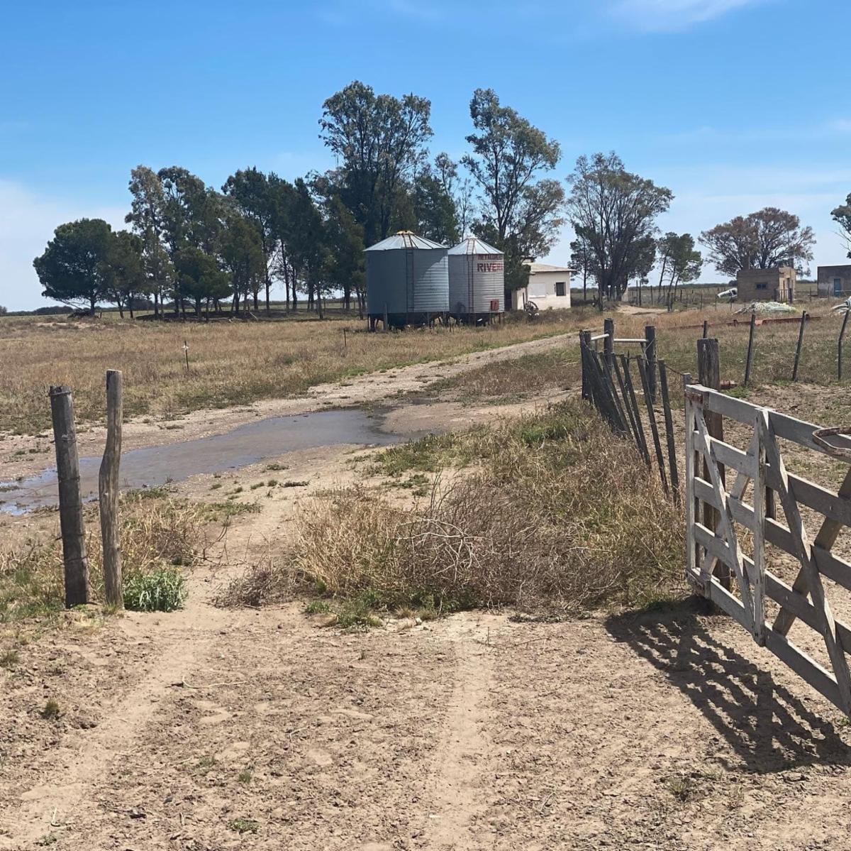 SE VENDE CAMPO 1250has - PATAGONES - 10