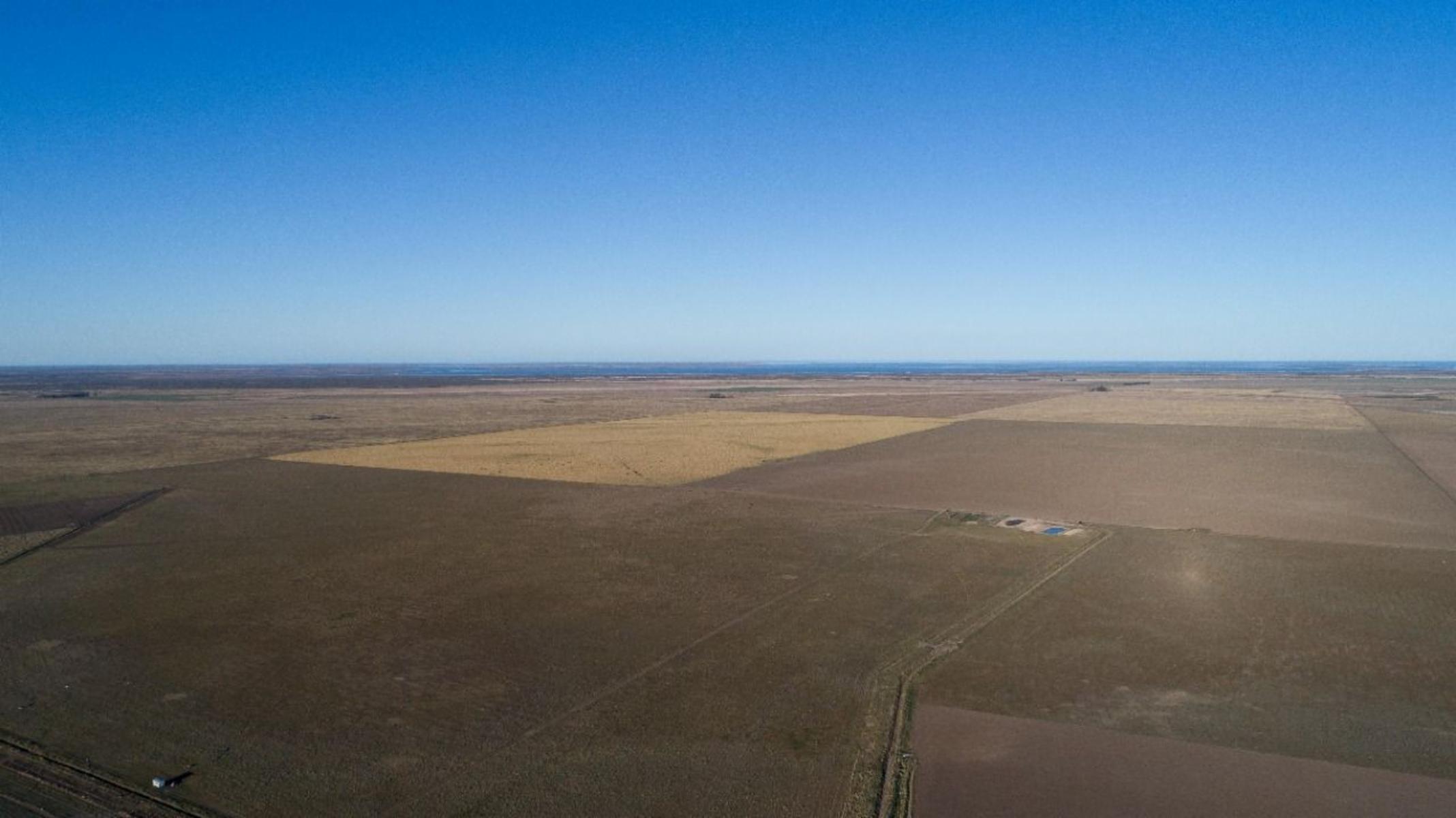 SE VENDE CAMPO 388has - VILLALONGA - 5