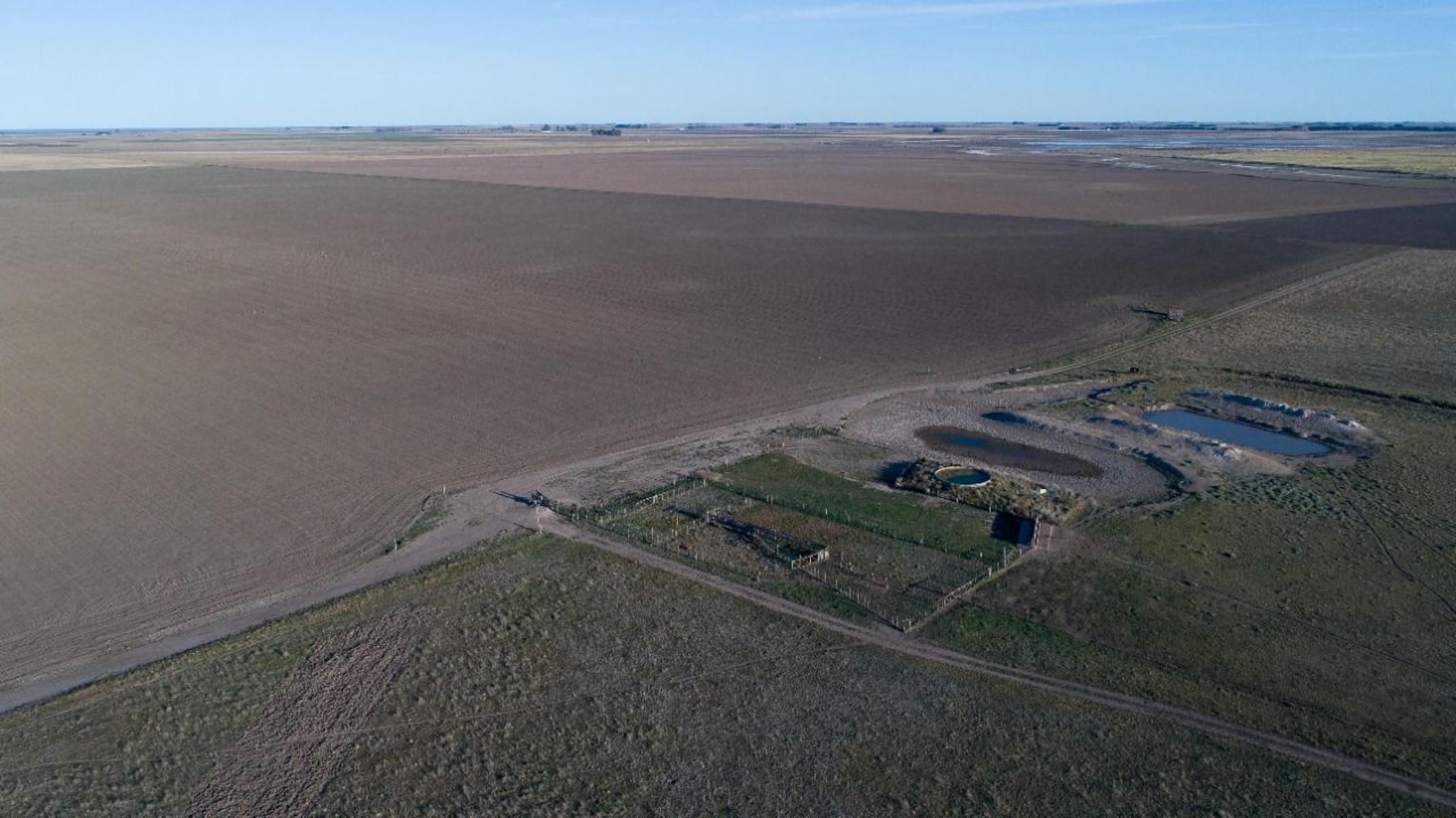 SE VENDE CAMPO 388has - VILLALONGA - 6