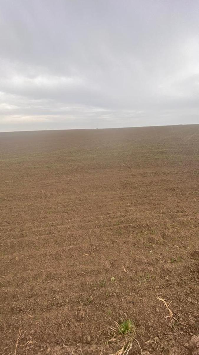 SE VENDE CAMPO 388has - VILLALONGA - 12