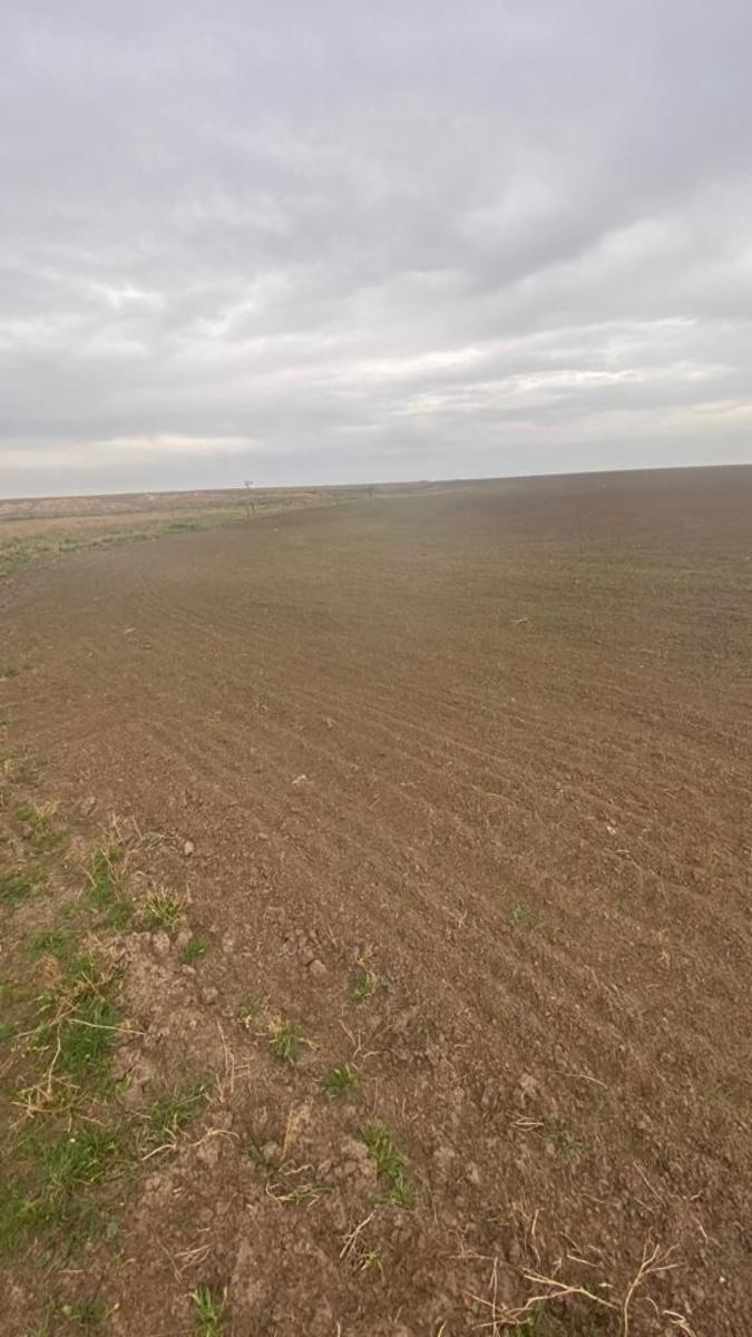 SE VENDE CAMPO 388has - VILLALONGA - 13