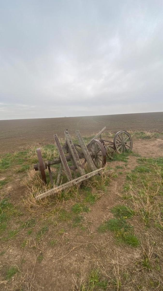SE VENDE CAMPO 388has - VILLALONGA - 15
