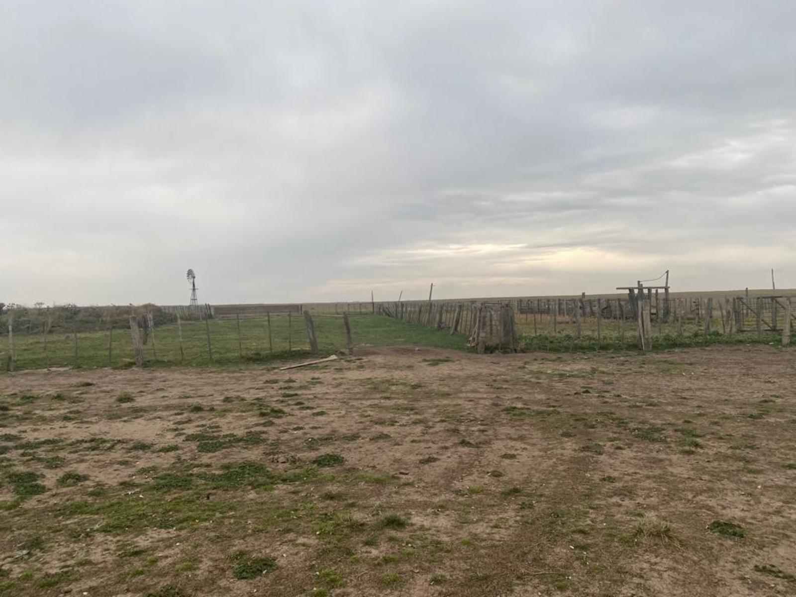 SE VENDE CAMPO 388has - VILLALONGA - 16