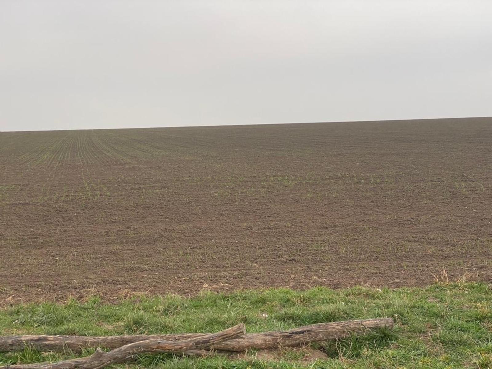 SE VENDE CAMPO 388has - VILLALONGA - 20