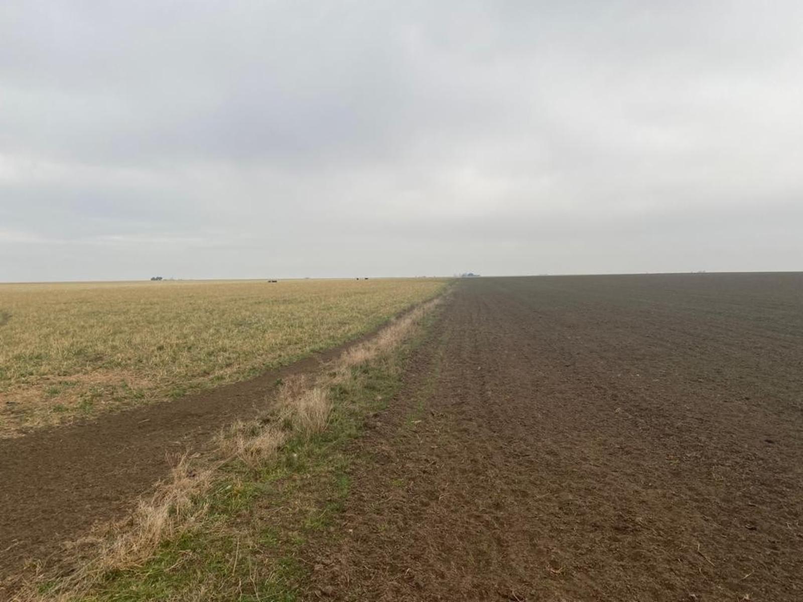 SE VENDE CAMPO 388has - VILLALONGA - 22