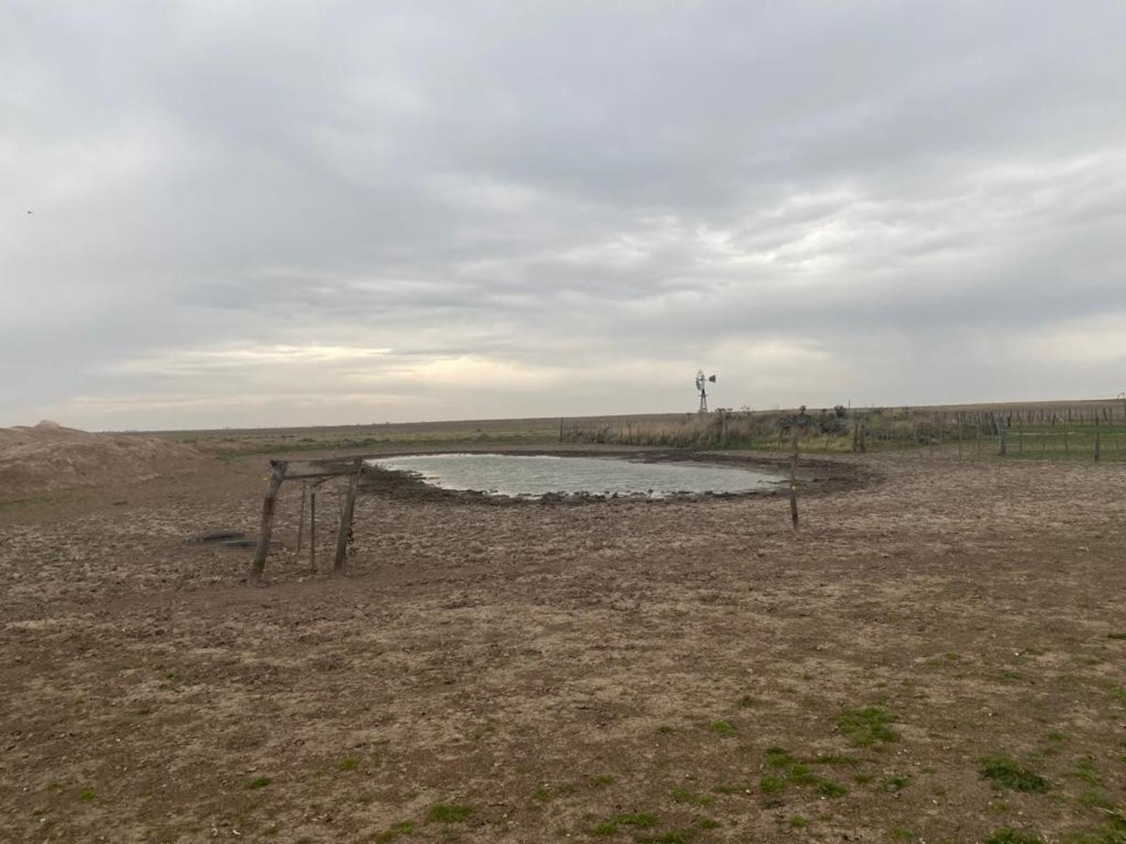 SE VENDE CAMPO 388has - VILLALONGA - 23
