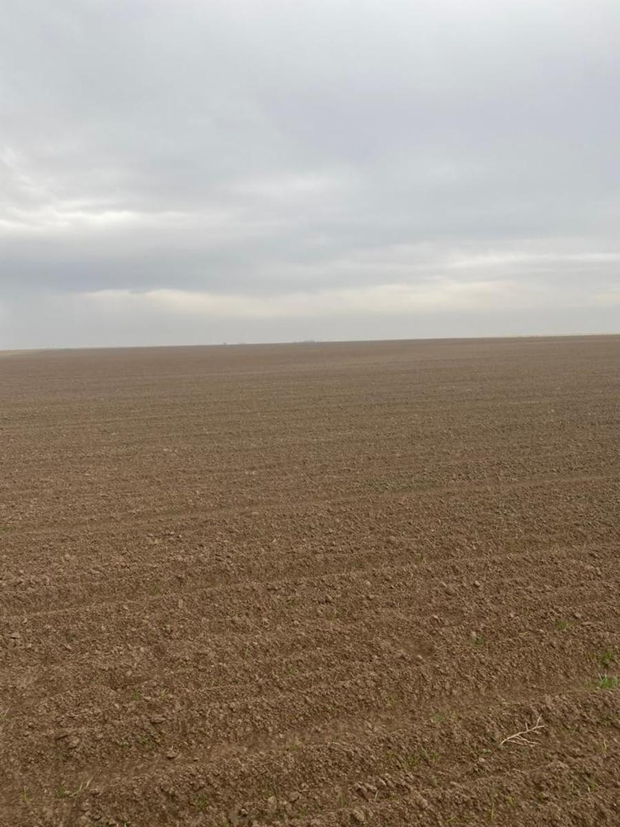 SE VENDE CAMPO 388has - VILLALONGA - 26