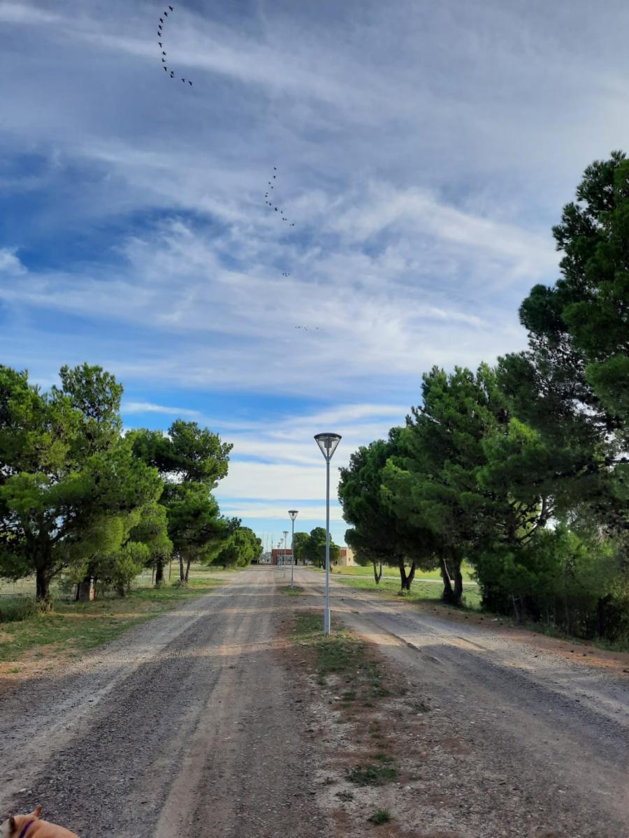 SE VENDEN LOTES EN LOTEO “DONDE EL SOL NACE” –VIEDMA — foto 8