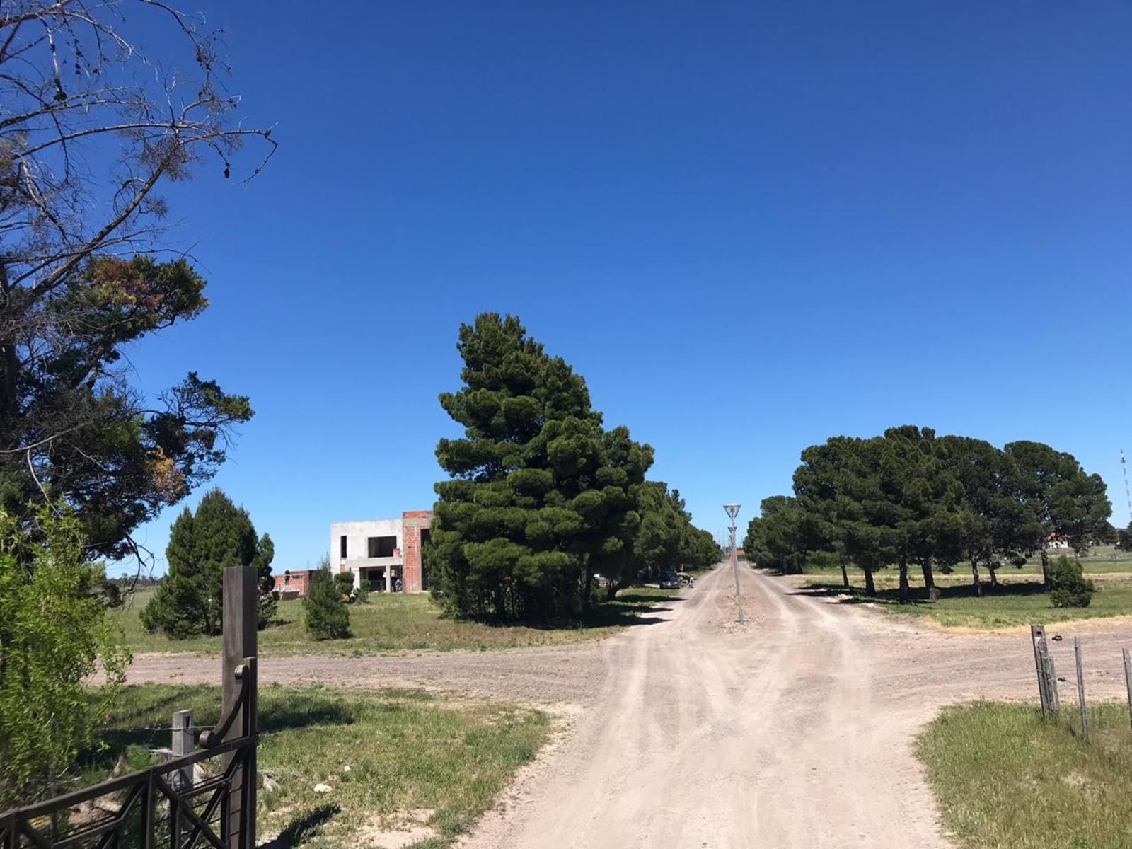 SE VENDEN LOTES EN LOTEO “DONDE EL SOL NACE” –VIEDMA — foto 10