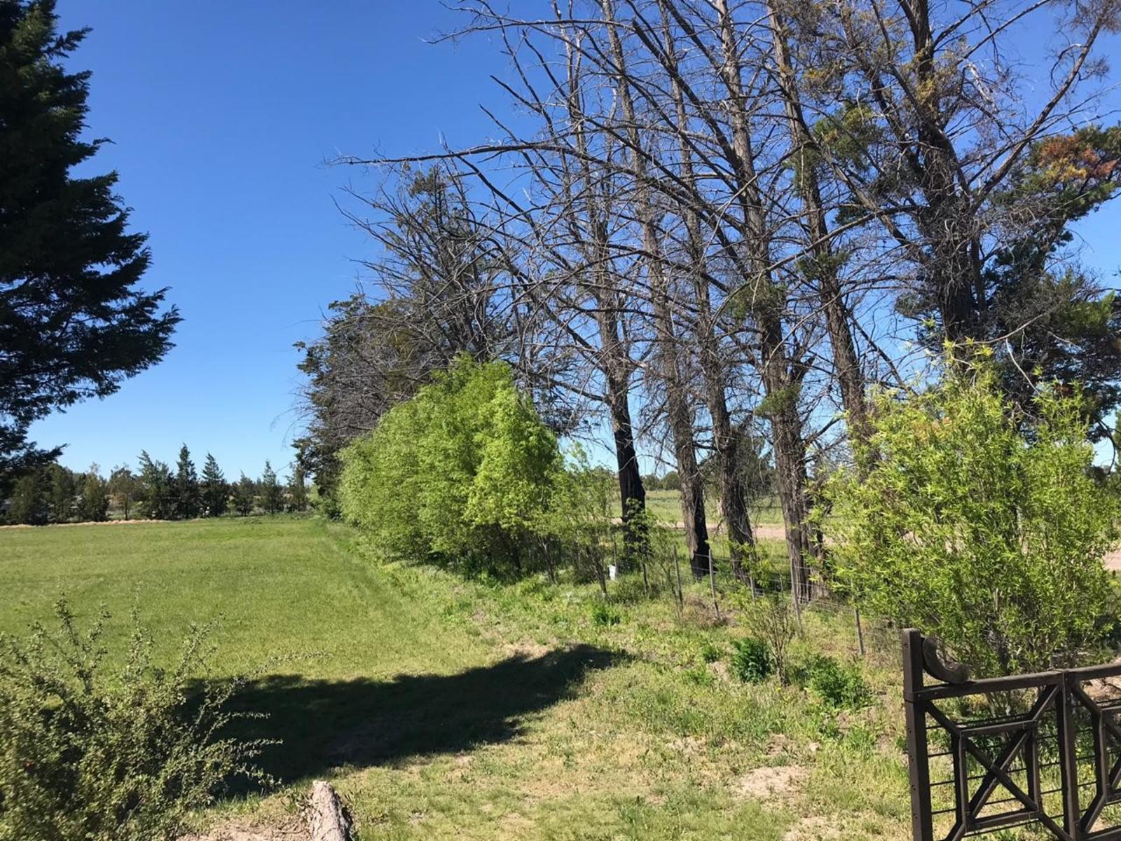 SE VENDEN LOTES EN LOTEO “DONDE EL SOL NACE” –VIEDMA — foto 11