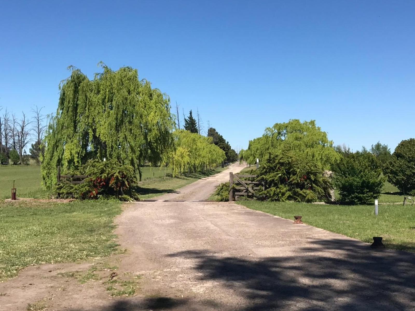 SE VENDEN LOTES EN LOTEO “DONDE EL SOL NACE” –VIEDMA — foto 14