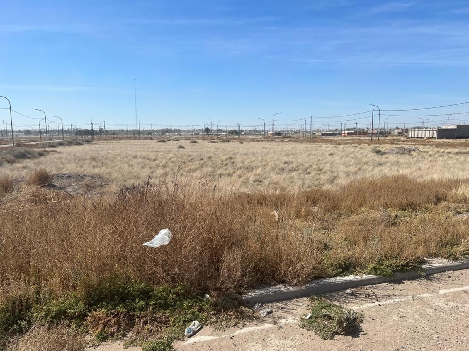 SE VENDE LOTE EN LOTEO LAS CARMELITAS –VIEDMA — foto 2