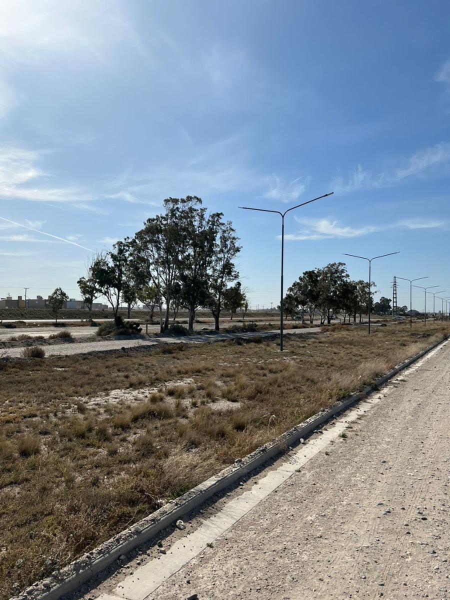 SE VENDEN HERMOSOS LOTES EN LOTEO AEROPUERTO –VIEDMA — foto 6