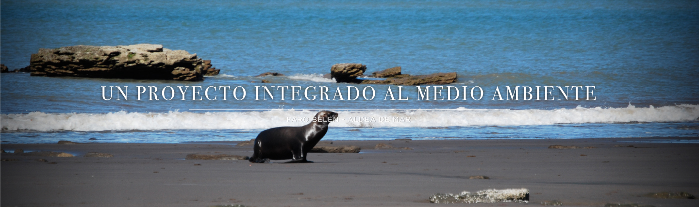 VENTA DE LOTES CON VISTA AL MAR-FARO BELEN-VIEDMA — foto 2