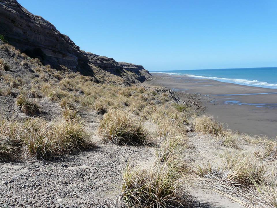VENTA DE LOTES CON VISTA AL MAR-FARO BELEN-VIEDMA — foto 15