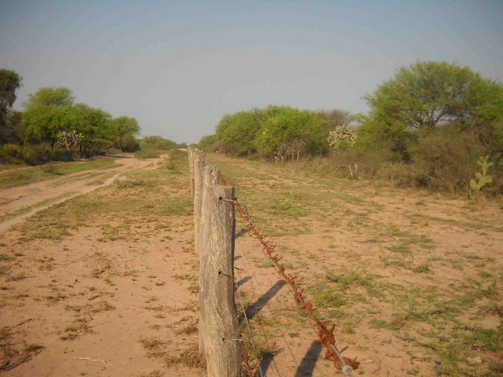 CAMPO DE 270 Ha. EN VENTA EN SANTIAGO DEL ESTERO, LOCALIDAD DE AÑATUYA, TODO TIPO DE AGRICULTURA - 3