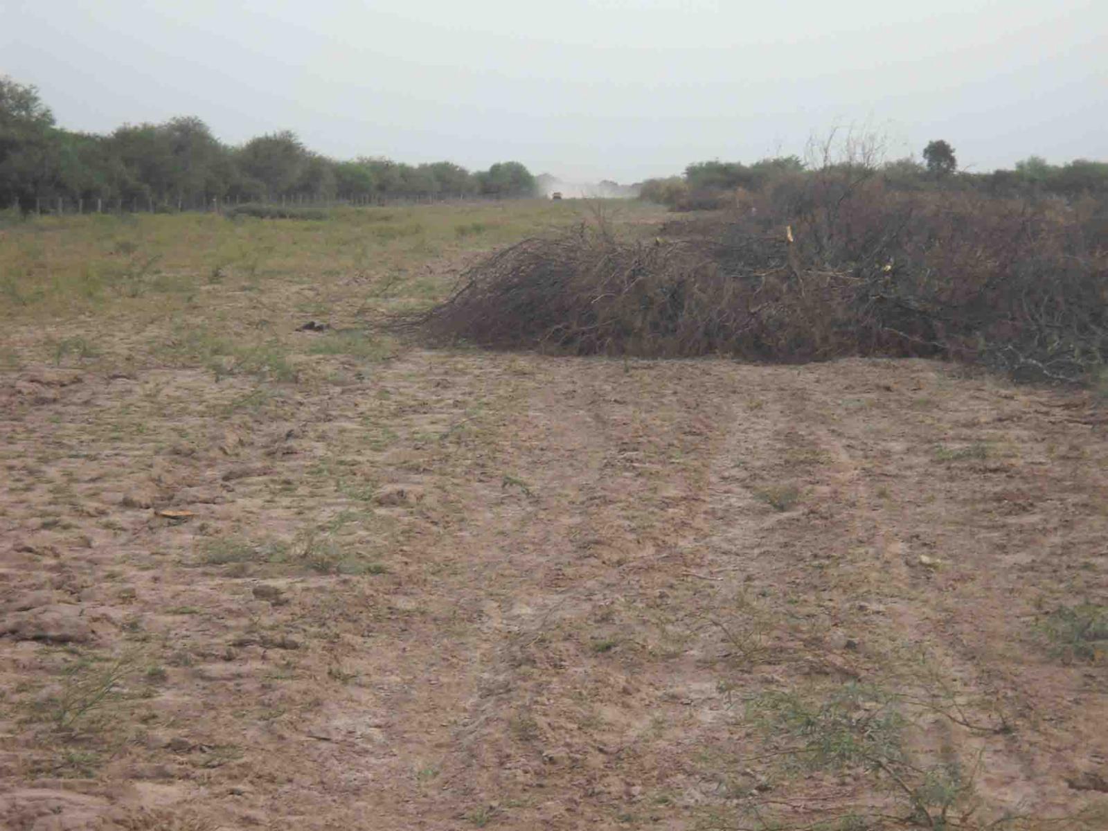 CAMPO DE 270 Ha. EN VENTA EN SANTIAGO DEL ESTERO, LOCALIDAD DE AÑATUYA, TODO TIPO DE AGRICULTURA - 4
