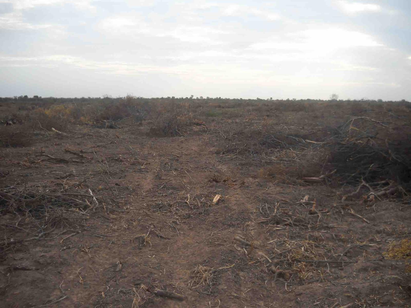 CAMPO DE 270 Ha. EN VENTA EN SANTIAGO DEL ESTERO, LOCALIDAD DE AÑATUYA, TODO TIPO DE AGRICULTURA - 7