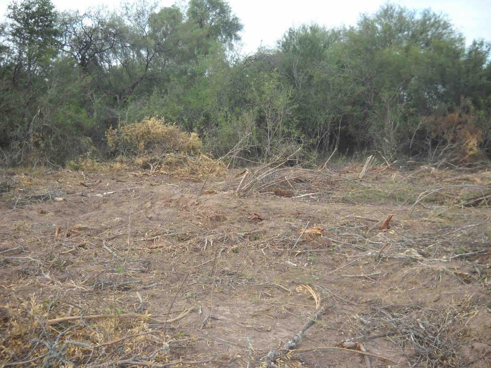 CAMPO DE 270 Ha. EN VENTA EN SANTIAGO DEL ESTERO, LOCALIDAD DE AÑATUYA, TODO TIPO DE AGRICULTURA - 8