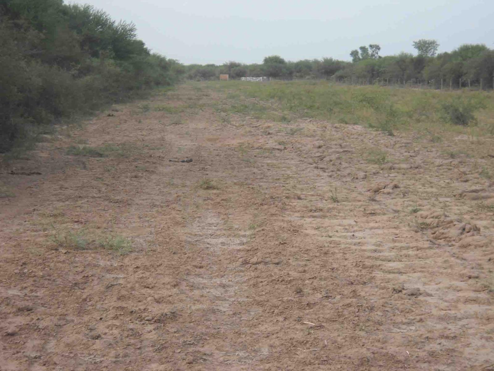 CAMPO DE 270 Ha. EN VENTA EN SANTIAGO DEL ESTERO, LOCALIDAD DE AÑATUYA, TODO TIPO DE AGRICULTURA - 9