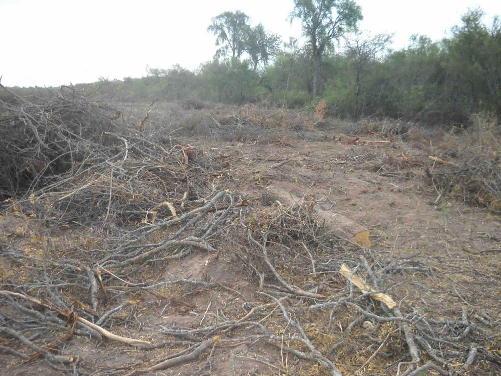 CAMPO DE 270 Ha. EN VENTA EN SANTIAGO DEL ESTERO, LOCALIDAD DE AÑATUYA, TODO TIPO DE AGRICULTURA - 10