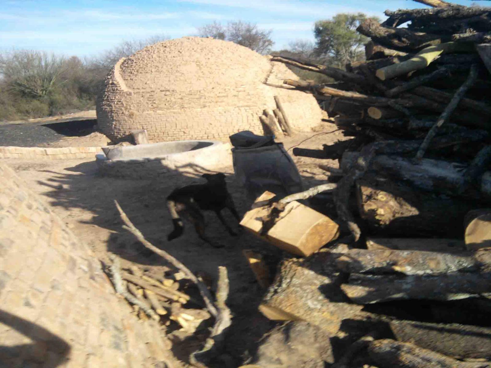 CAMPO DE 270 Ha. EN VENTA EN SANTIAGO DEL ESTERO, LOCALIDAD DE AÑATUYA, TODO TIPO DE AGRICULTURA - 13