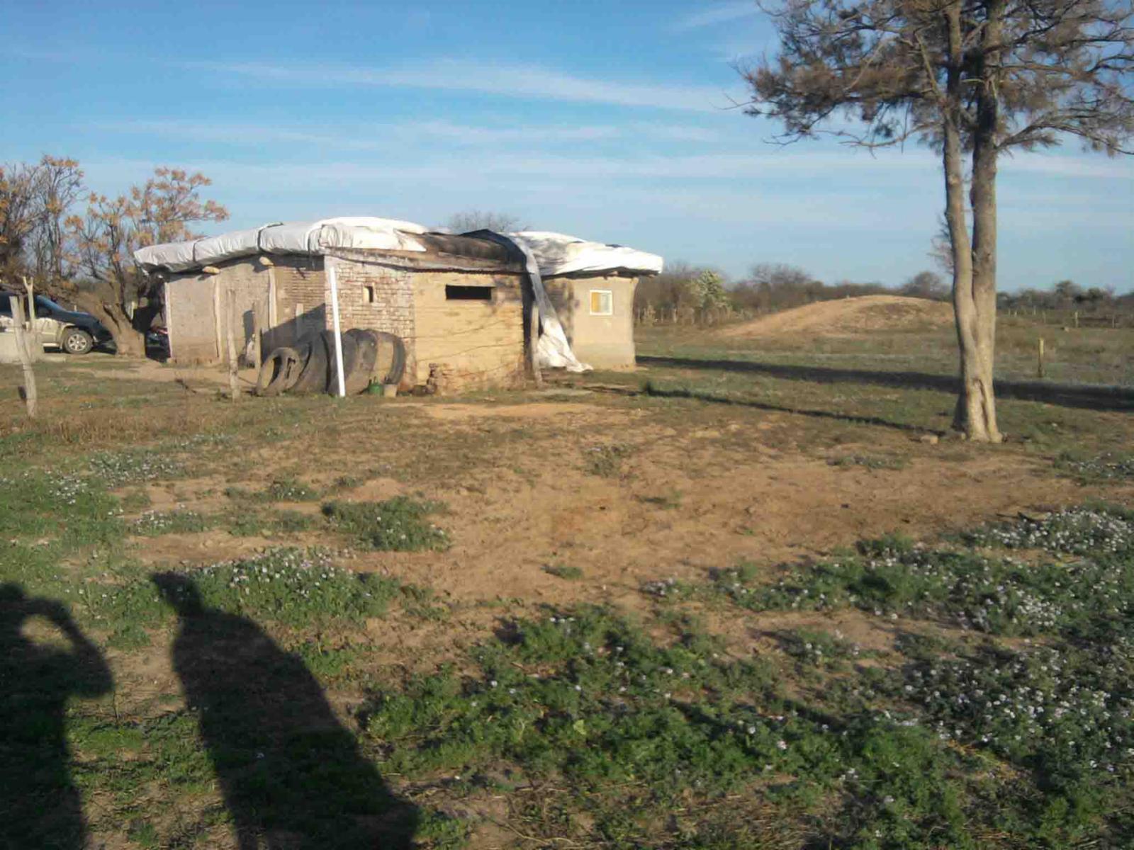 CAMPO DE 270 Ha. EN VENTA EN SANTIAGO DEL ESTERO, LOCALIDAD DE AÑATUYA, TODO TIPO DE AGRICULTURA - 15