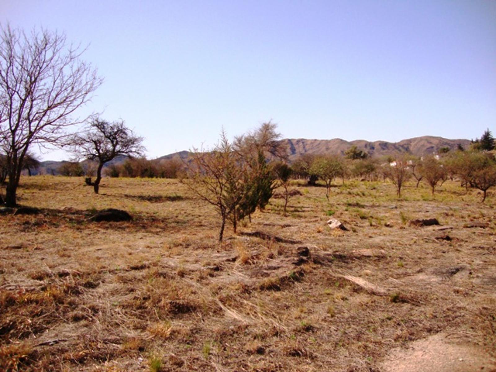 HERMOSA FRACCION DE 5300 MT2 CON FONDO AL ARROYO LAS MOJARRAS, IDEAL COMPLEJO — foto 10