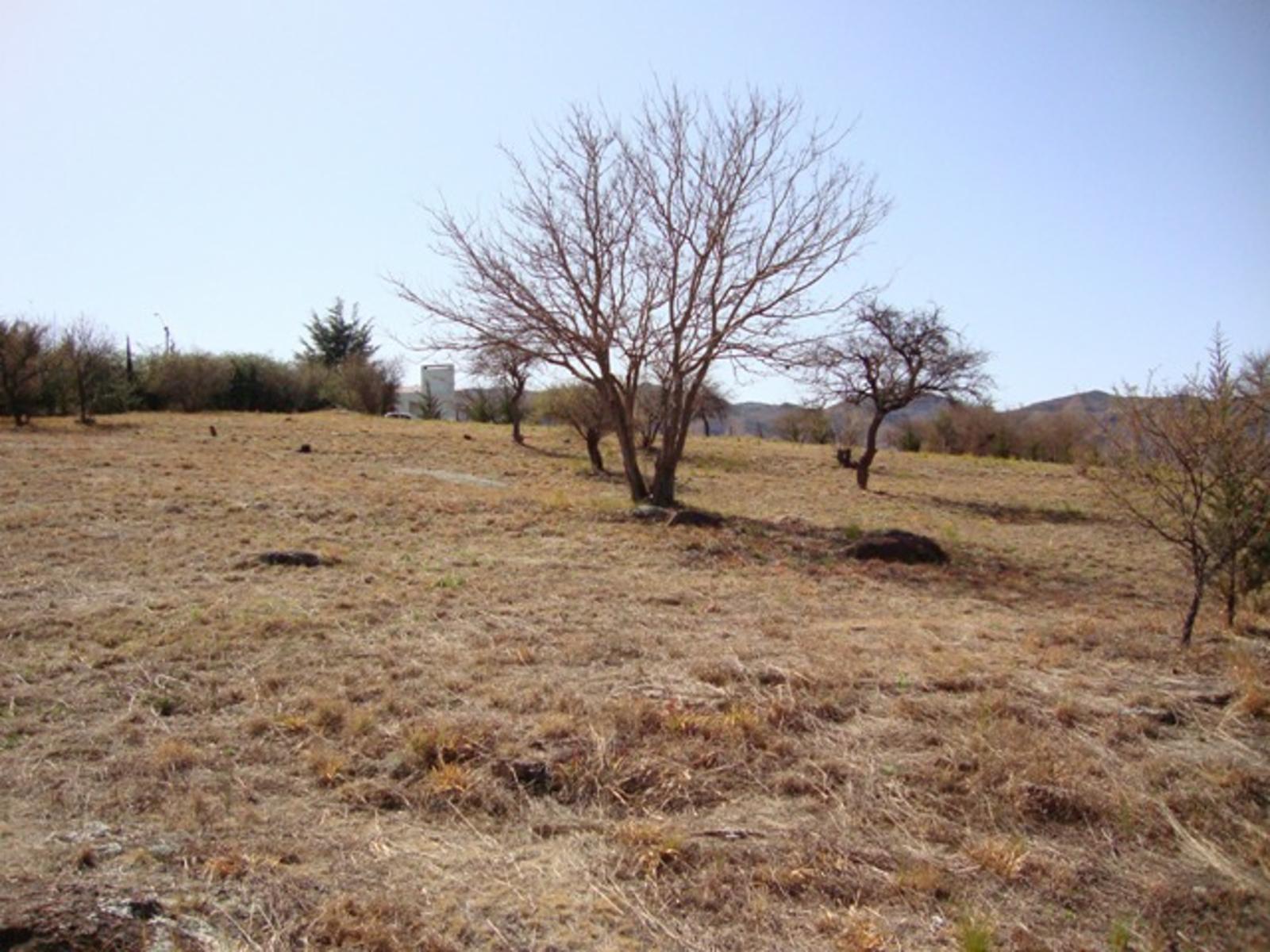 HERMOSA FRACCION DE 5300 MT2 CON FONDO AL ARROYO LAS MOJARRAS, IDEAL COMPLEJO — foto 11