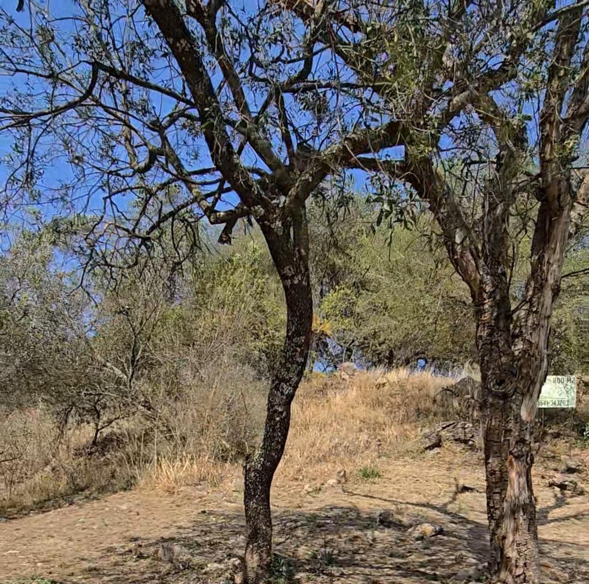 Terreno en Venta en TIERRA ALTA Malagueño — foto 6