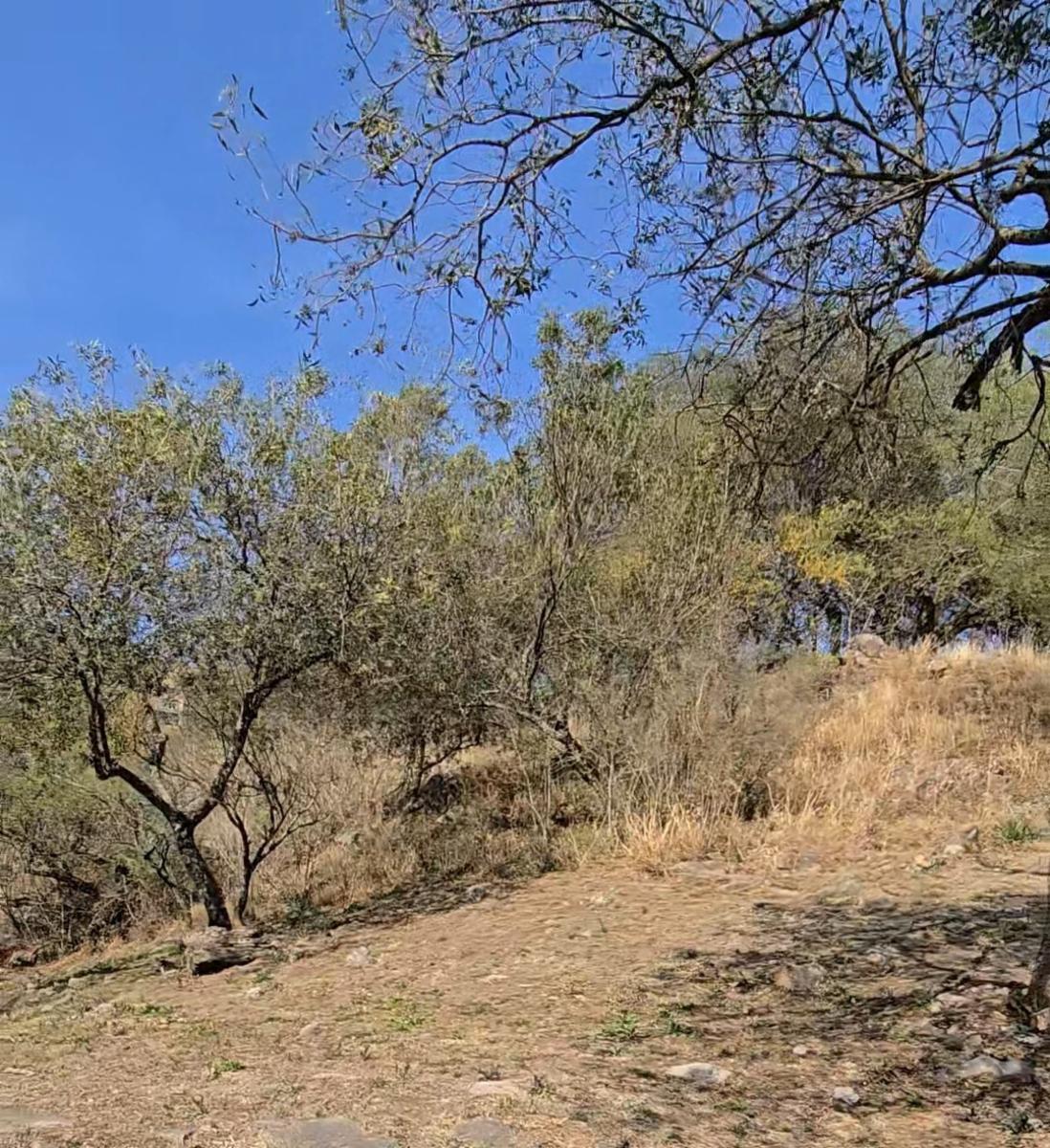 Terreno en Venta en TIERRA ALTA Malagueño — foto 13