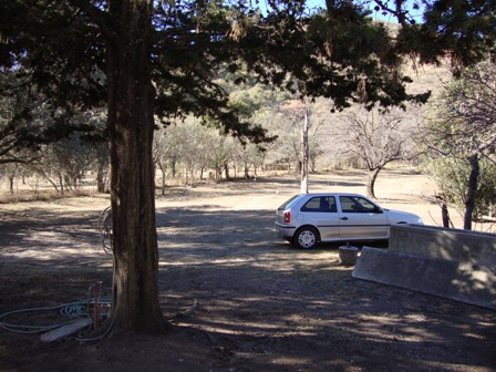 OPORTUNIDAD! 7 HECTAREAS EN LAS JARILLAS, CON PLANTACIÓN DE NOGALES Y VERTIENTE NATURAL — foto 3