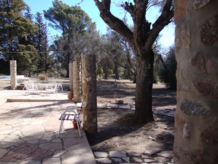 OPORTUNIDAD! 7 HECTAREAS EN LAS JARILLAS, CON PLANTACIÓN DE NOGALES Y VERTIENTE NATURAL — foto 4