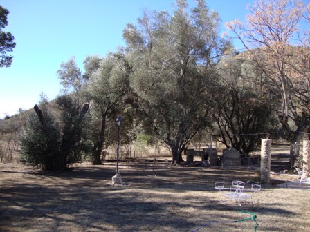 OPORTUNIDAD! 7 HECTAREAS EN LAS JARILLAS, CON PLANTACIÓN DE NOGALES Y VERTIENTE NATURAL — foto 5