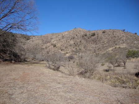 OPORTUNIDAD! 7 HECTAREAS EN LAS JARILLAS, CON PLANTACIÓN DE NOGALES Y VERTIENTE NATURAL — foto 6