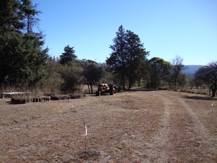 OPORTUNIDAD! 7 HECTAREAS EN LAS JARILLAS, CON PLANTACIÓN DE NOGALES Y VERTIENTE NATURAL — foto 7